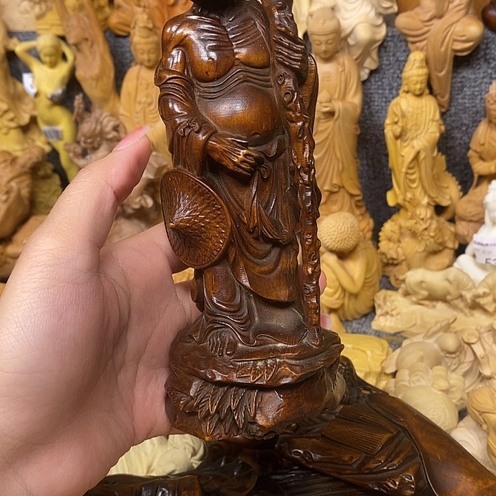 黄杨木黄杨木小叶瑕疵达摩