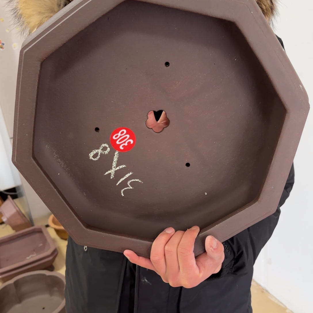 紫砂花盆呜呜呜呜