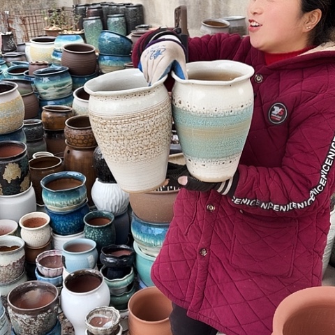 口17高25盆子盆子 