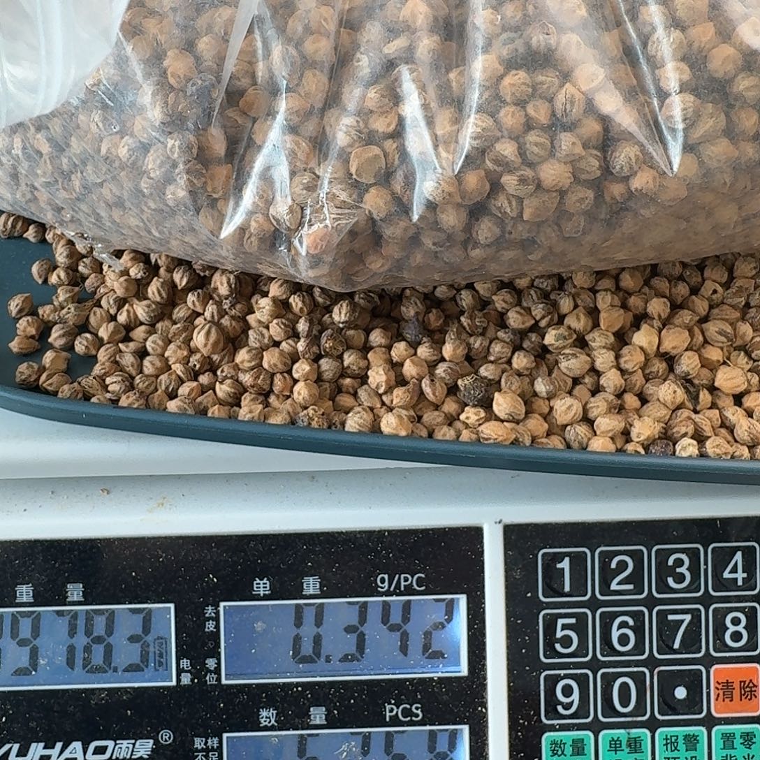 柏***者柏香籽/百香籽吊坠1950克CW14