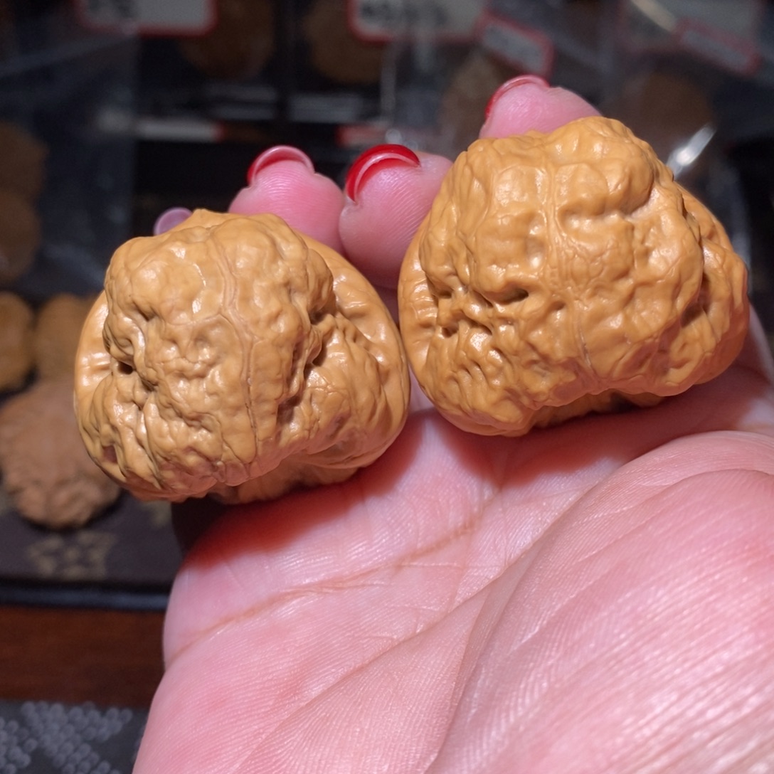 文玩核桃把件37-40古蟾