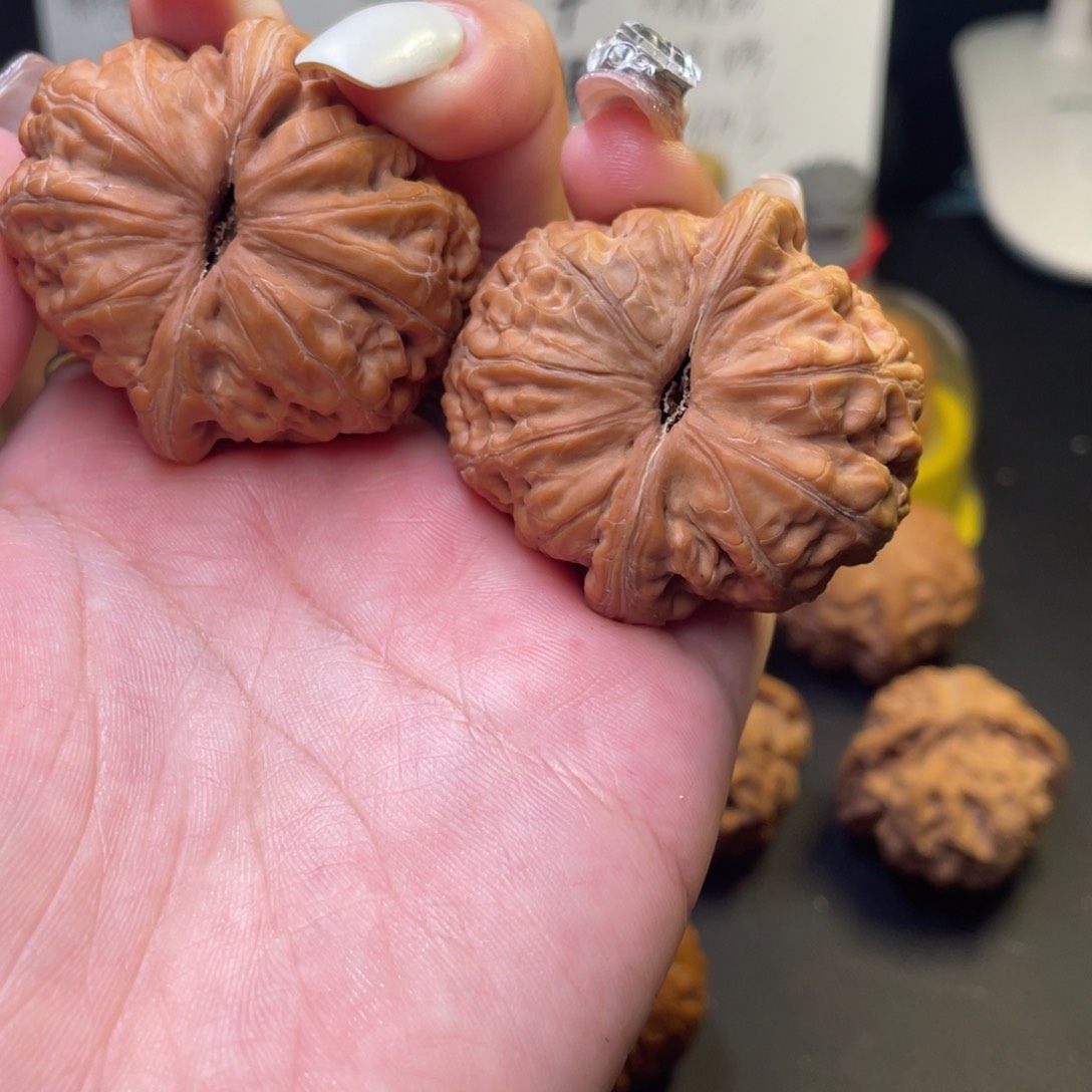 文玩核桃把件43➕元宝