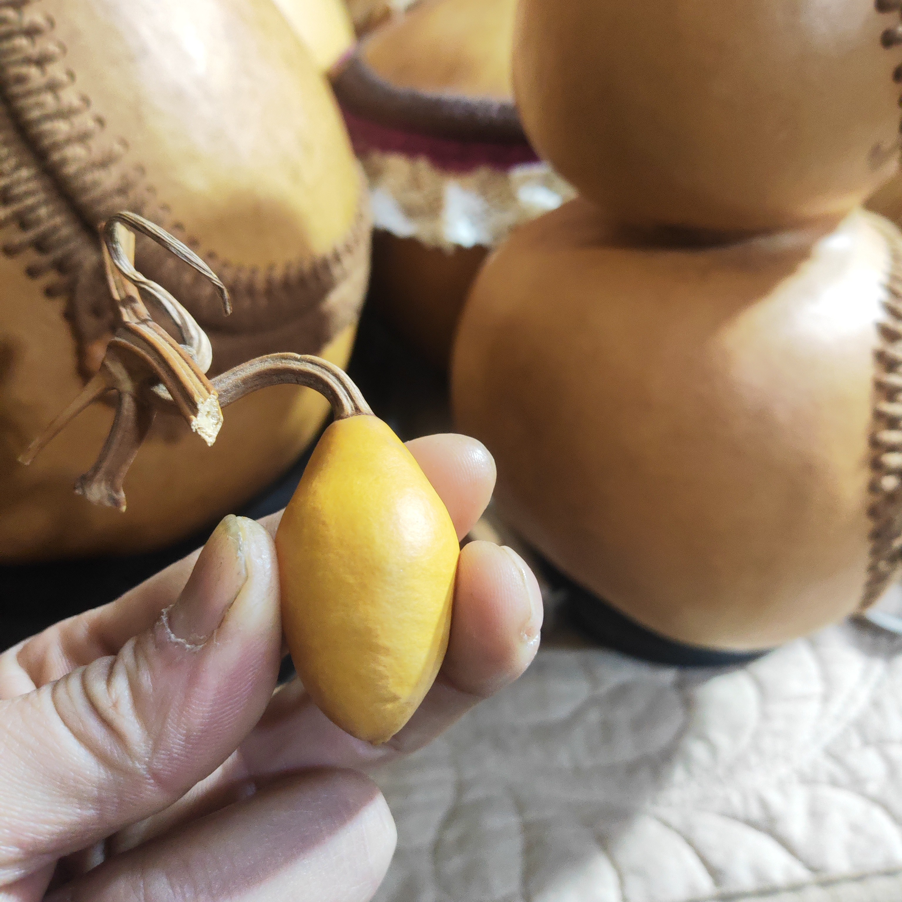 天然草里金水滴葫芦文玩收藏手把件