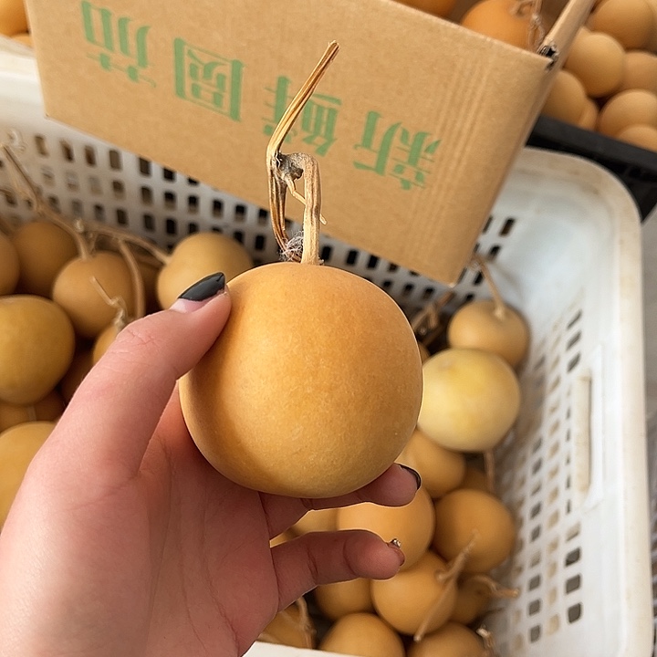 苹果响籽漂亮厚皮