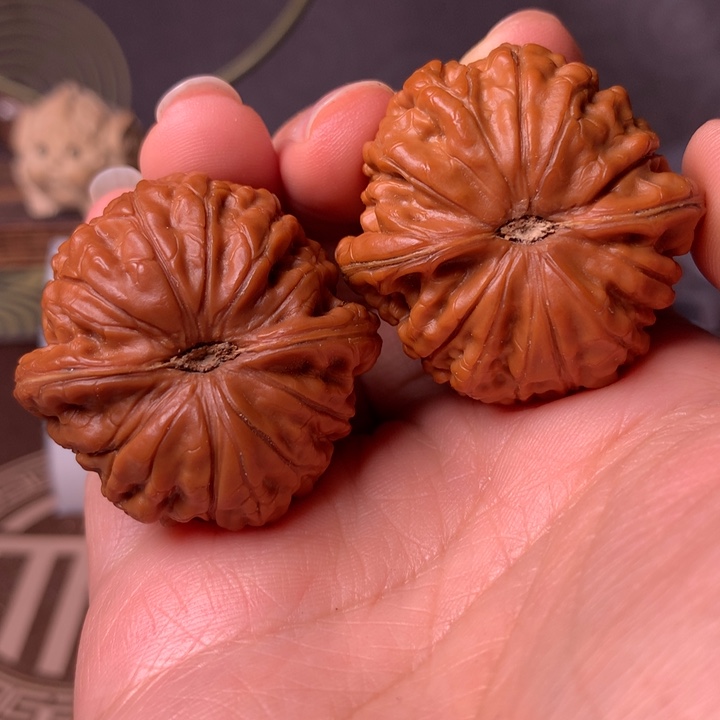 风***凉雨花2分是你吧哈哈笑哈