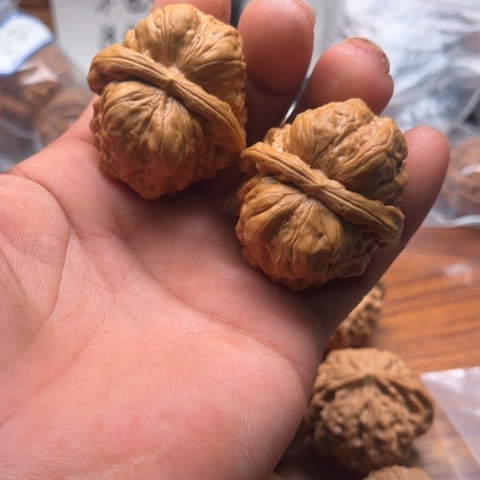 文玩核桃把件蛤蟆