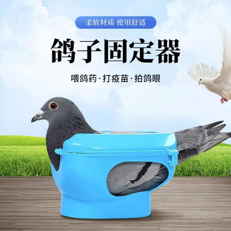 鸽子固定器防跑喂药看鸽眼打针辅助工具信鸽赛鸽固定架用具