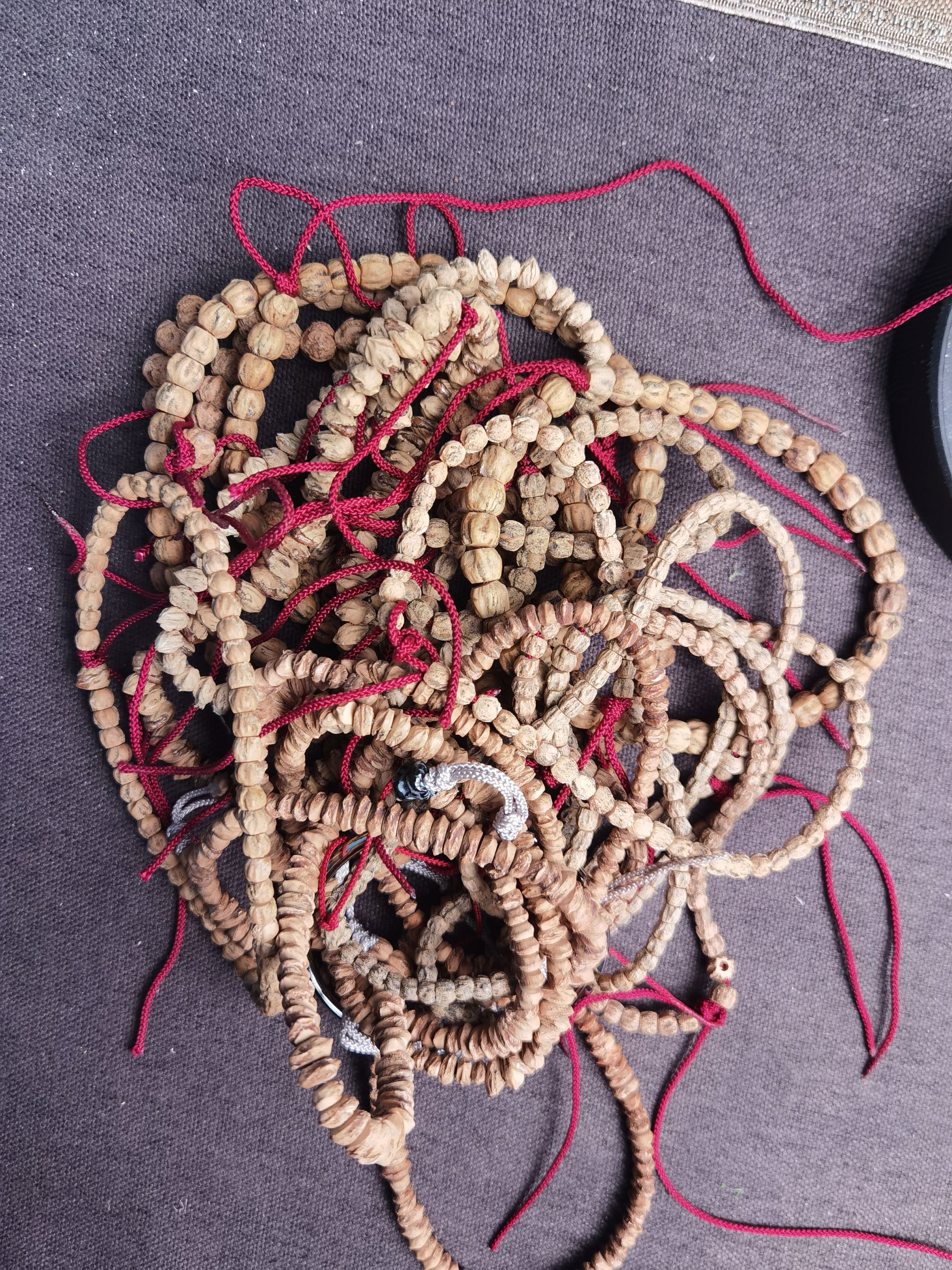 柏香手持随机发一条