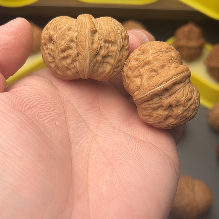 42尺精配全品元宝