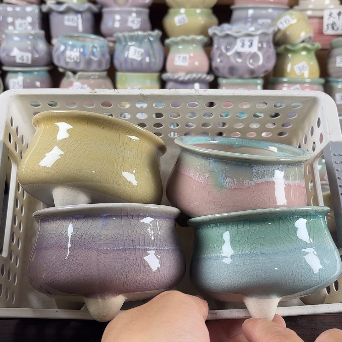 量货/口8.6-10高7深浅搭配发4