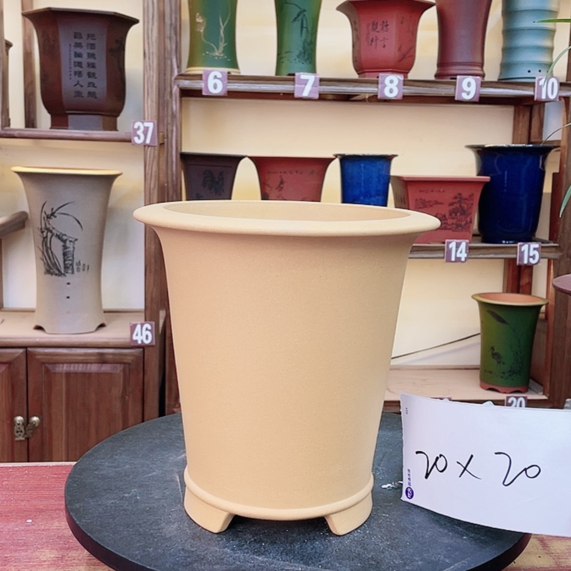 【闪购商品】紫砂花盆兰花943464648464646464