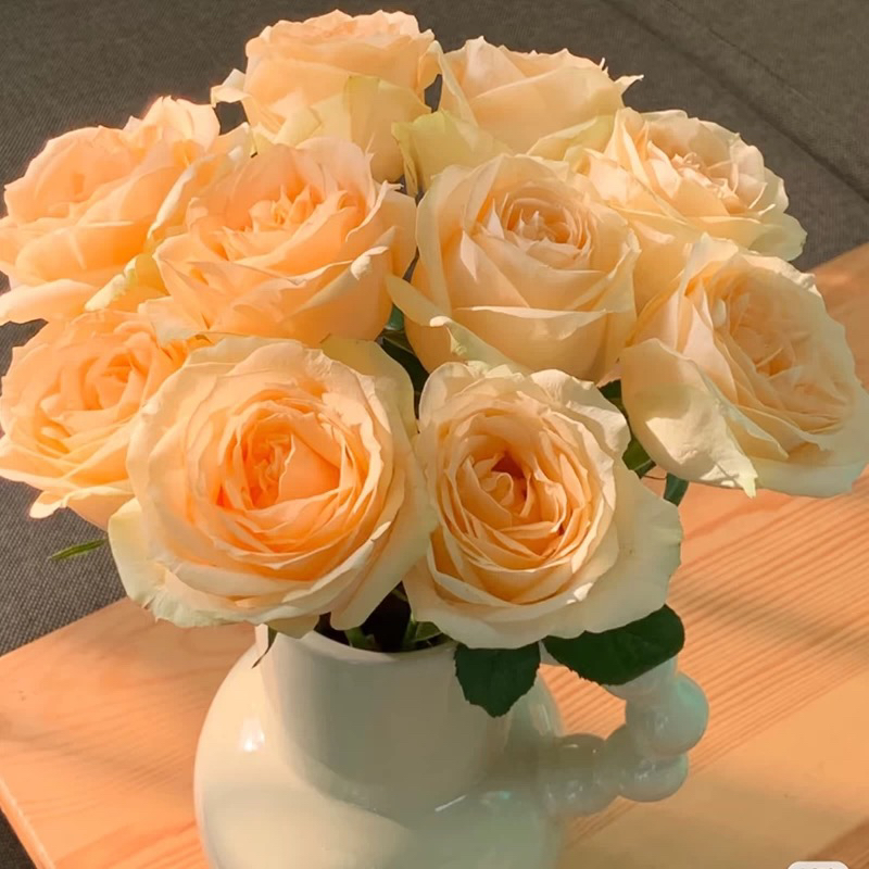 【香槟】玫瑰蜜桃雪山鲜切水养花店铺任选两单鲜花升级顺丰