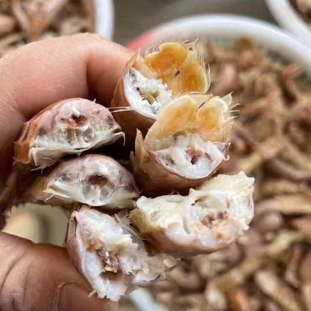 椒盐海水中号皮皮虾58两斤