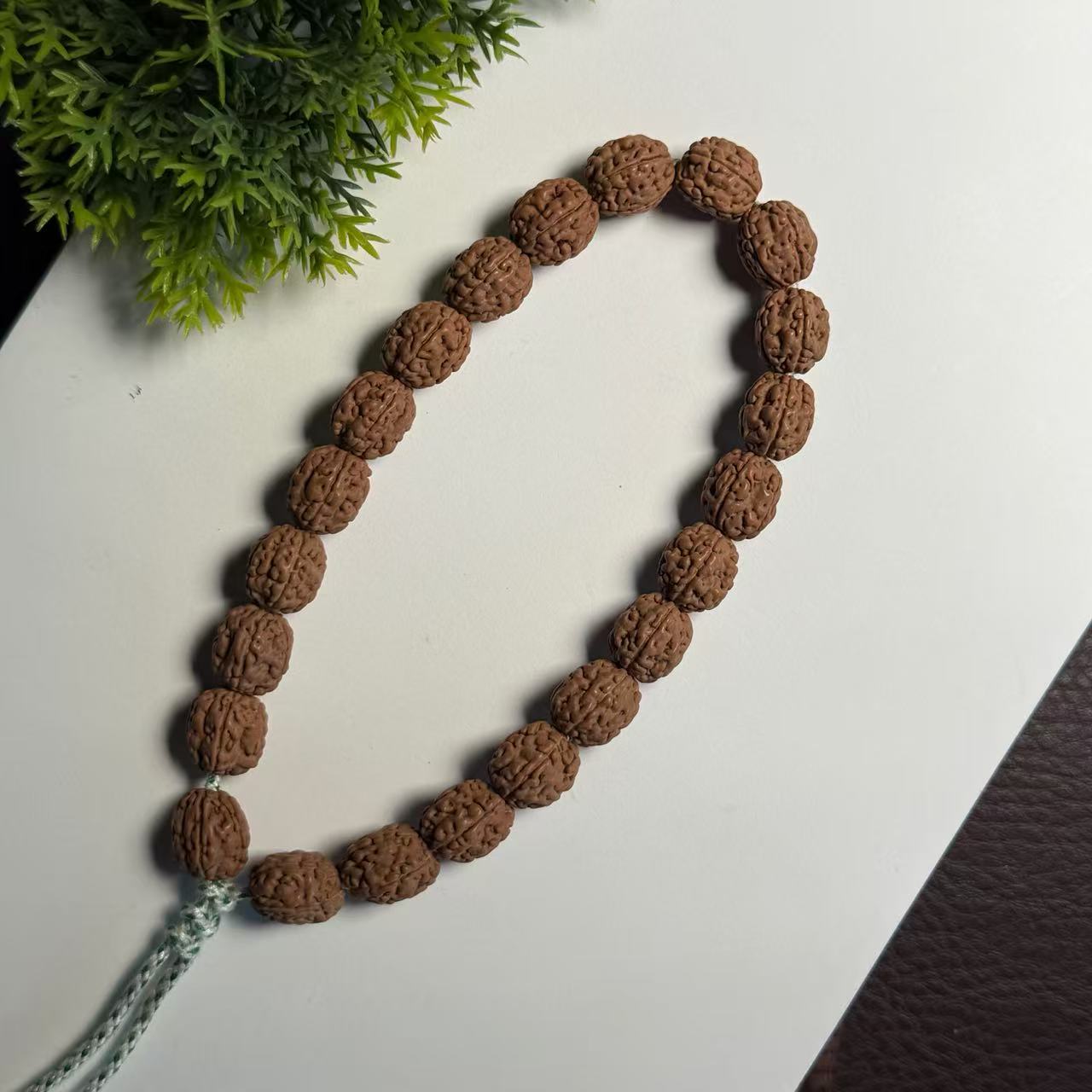 【大师兄专属链接】定制级【重种树非嫁接】一代盘龙小金刚单圈【手串】