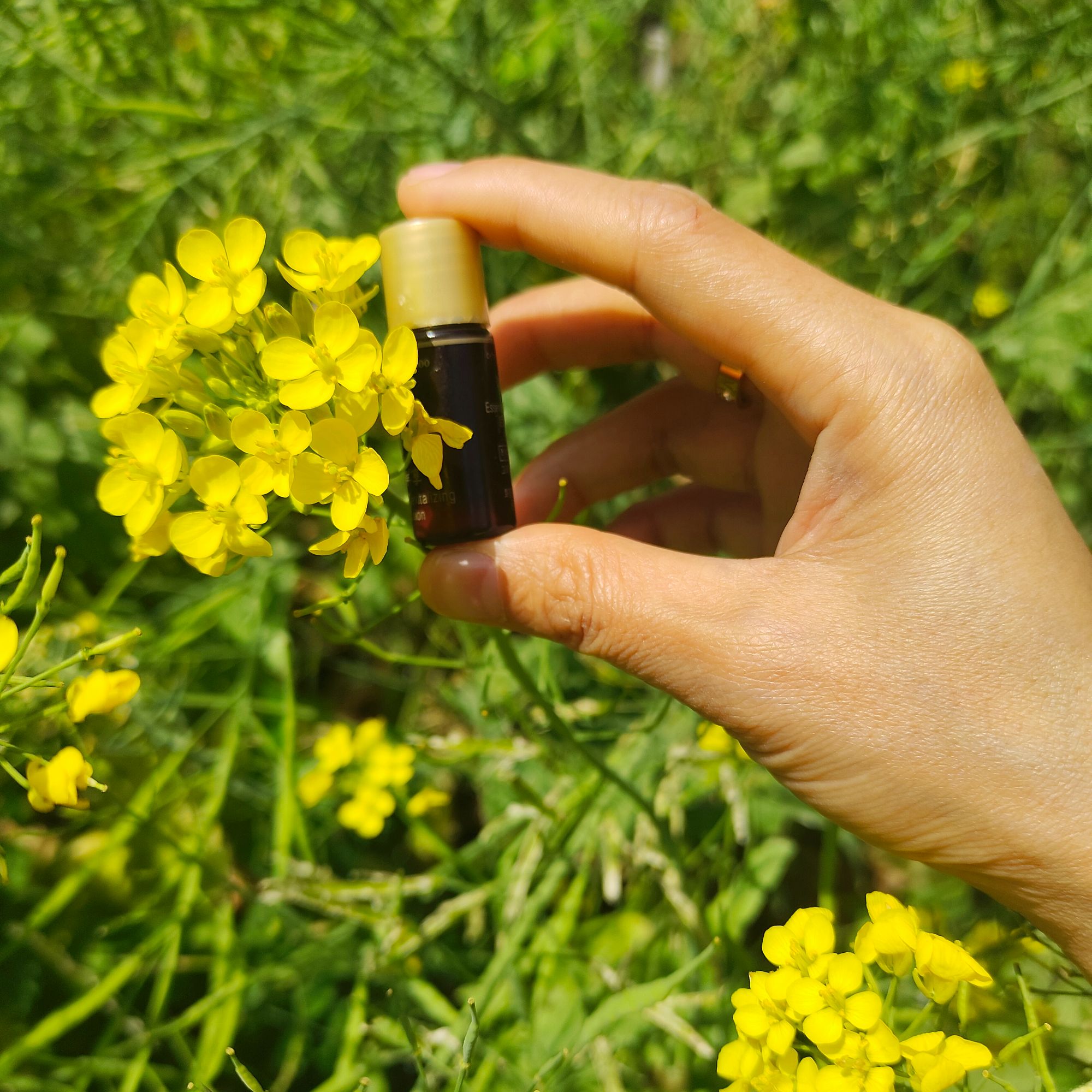 【27年1月效期】（红参参！含有人参的乳) 滋润不油腻，清爽不干燥30瓶