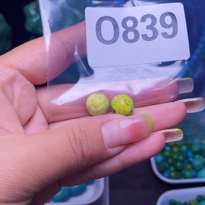 空竹粉丝福利专享