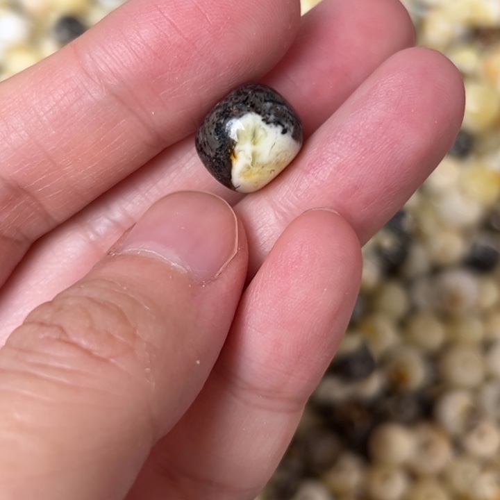 蜜蜡未镶嵌裸石12.2mm一个