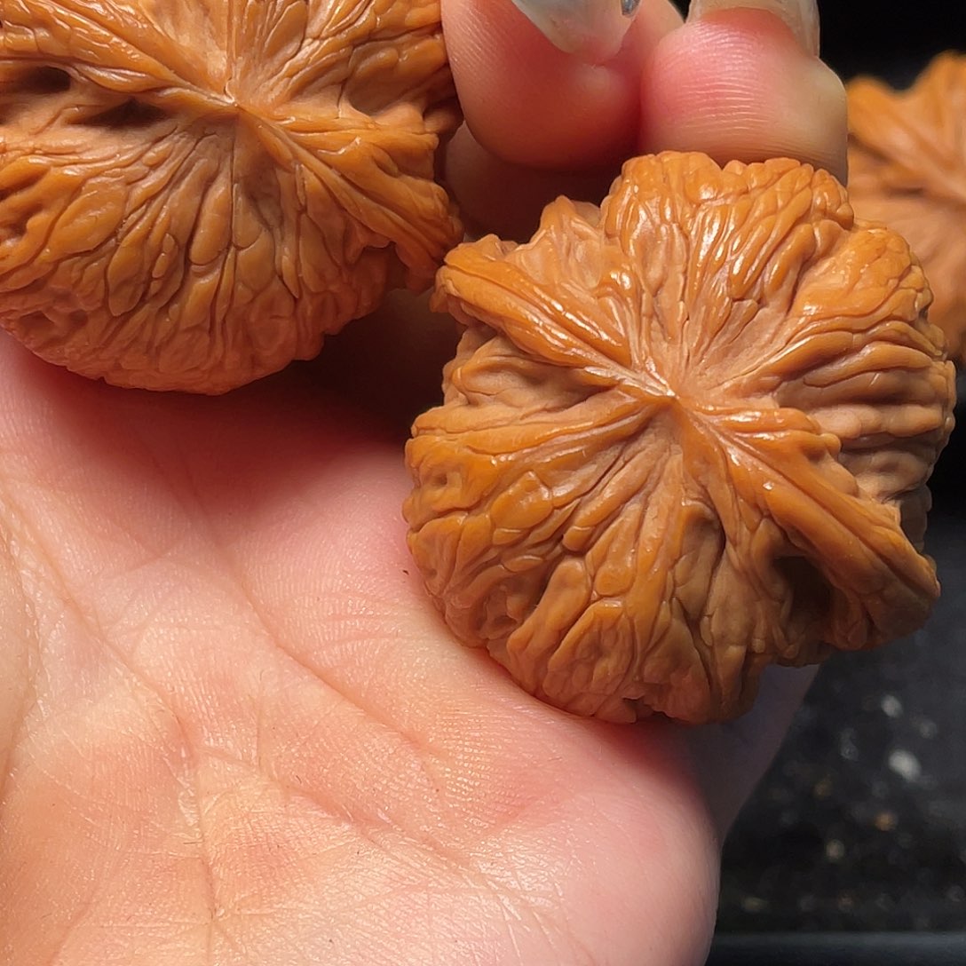 文玩核桃把件秦岭山脉核桃