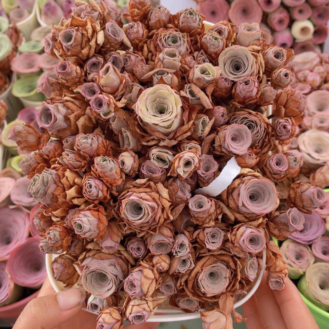 山地玫瑰花篮组合J462