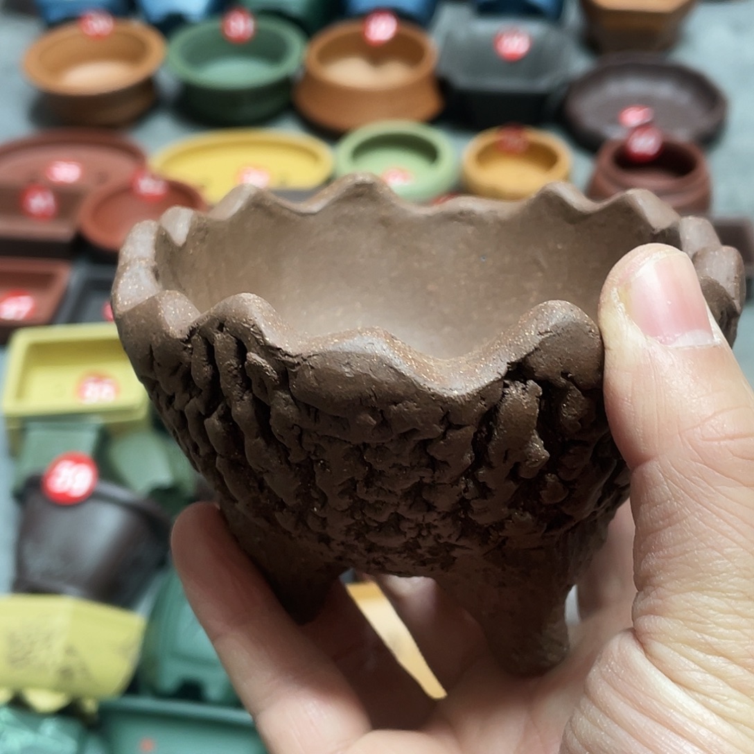 紫砂小盆9*6cmmmm