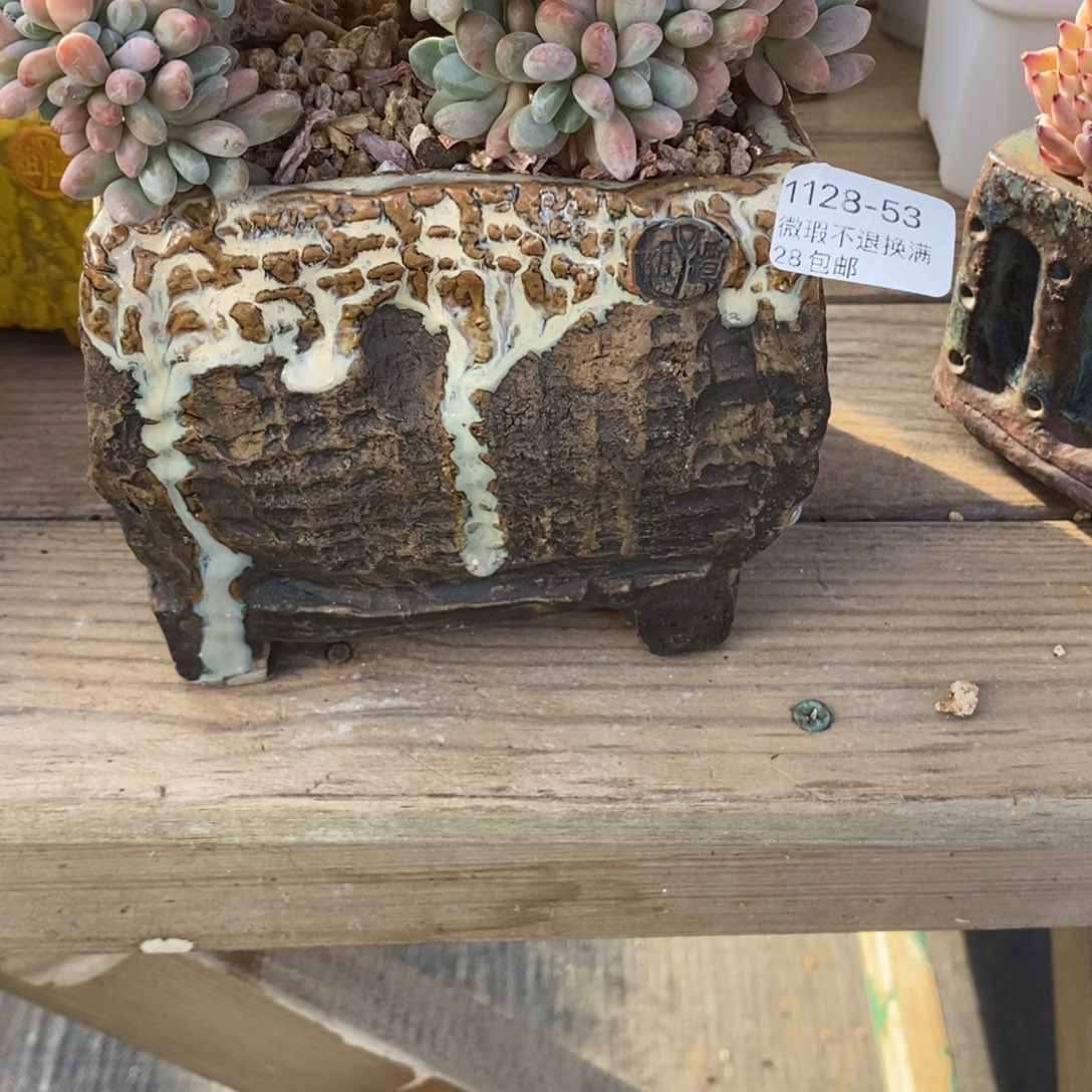 ****忌53号多肉盆口径10