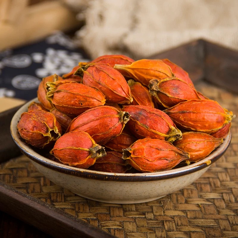 栀子山栀子泡茶新鲜食用上色调料卤肉栀子果