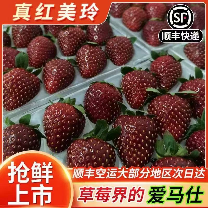 【顺丰空运】粉玉真红美玲黑草莓双拼二种口感体验孕妇时令水果现摘