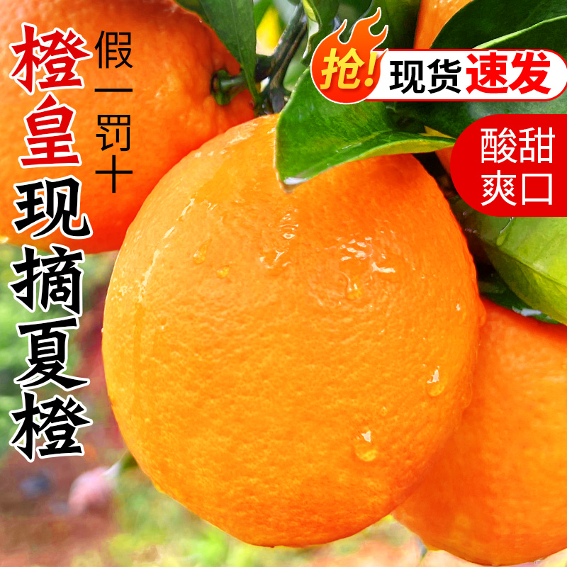 广西桂林夏橙当季鲜脐橙新鲜孕妇水果可榨汁冰糖甜橙子非秭归伦晚