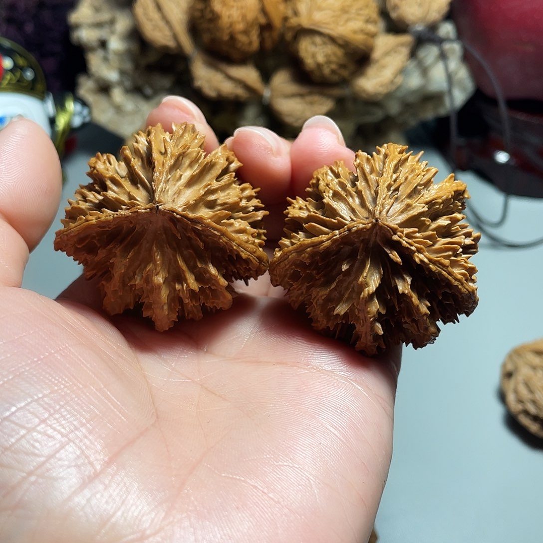 核桃手串/手链精品大刺灯笼三楞