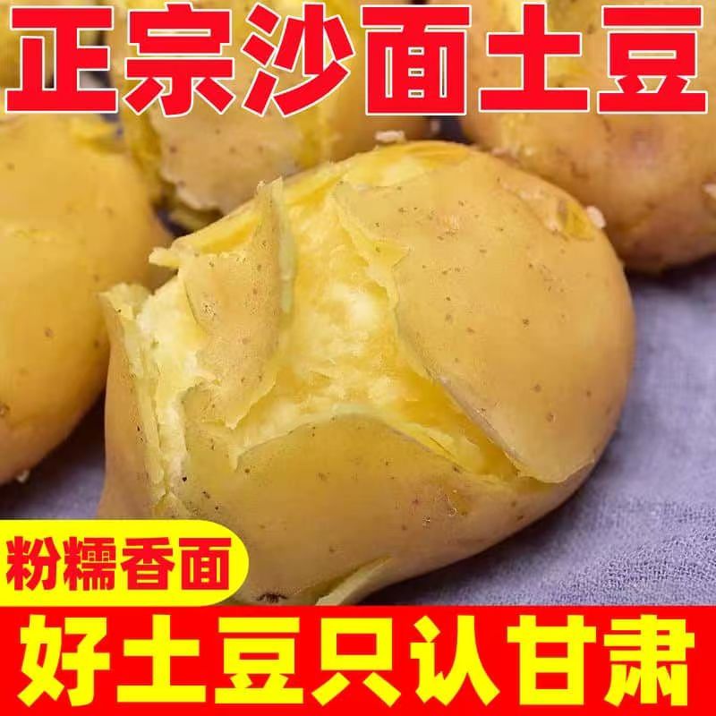 黄心土豆3/5斤沙地土豆新鲜蔬菜粉糯沙面农家种植现挖产地直发