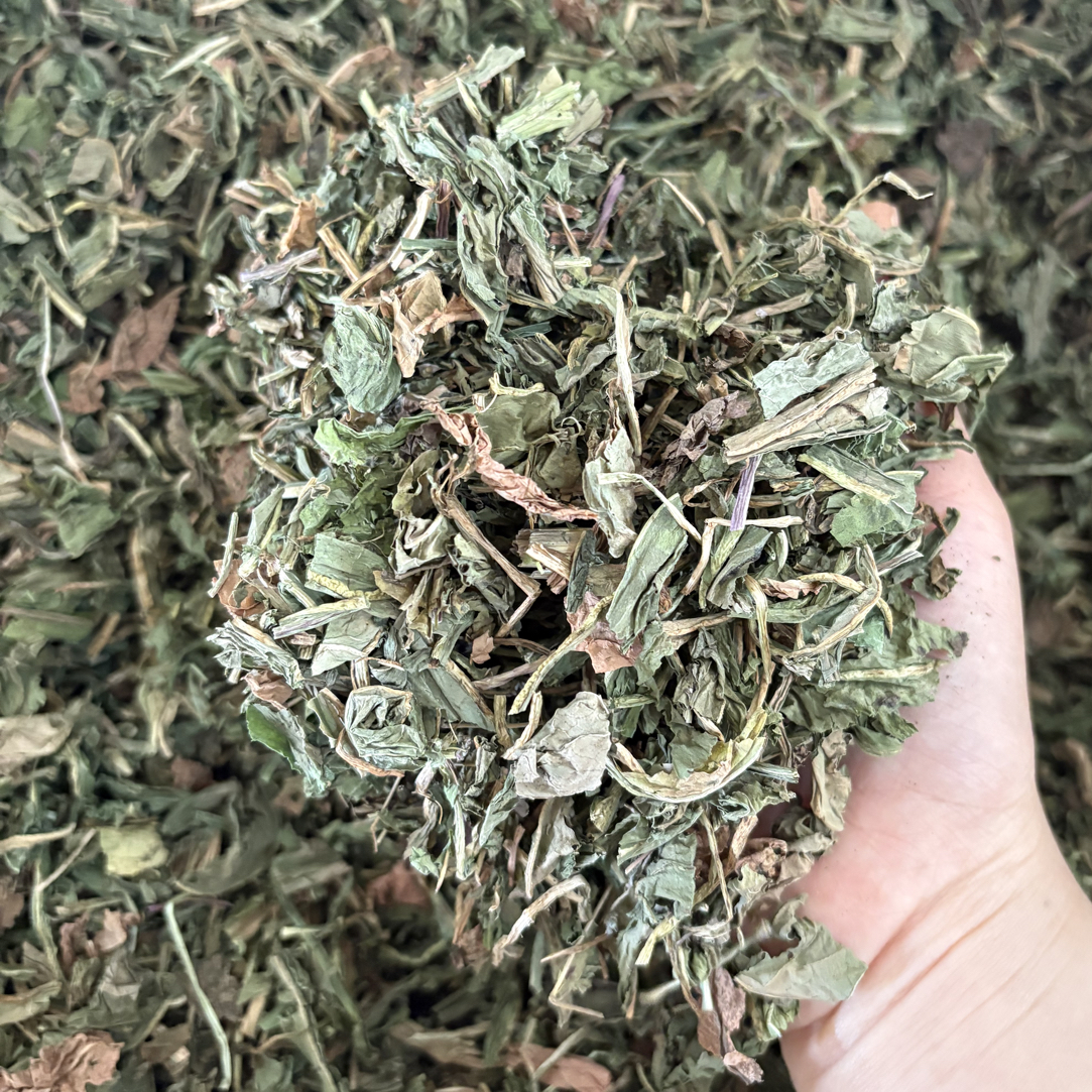 蒲公英叶蒲公英茶蒲公英婆婆丁可搭配猫爪草泡水煮水