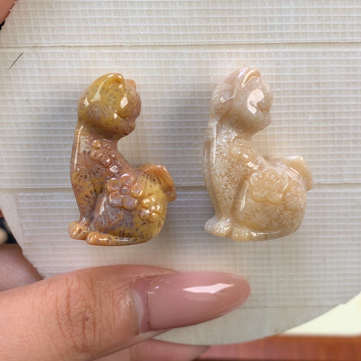 【闪购商品】颈饰未镶嵌硅化珊瑚（珊瑚玉）我***肉