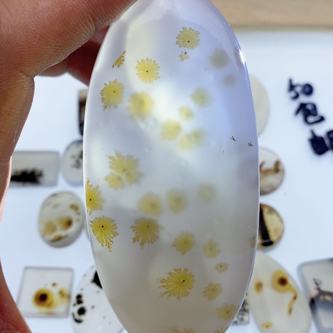 玛瑙/玉髓颈饰未镶嵌