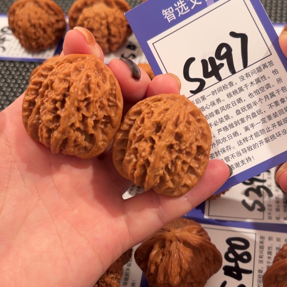 核桃S497号霞云岭38尺