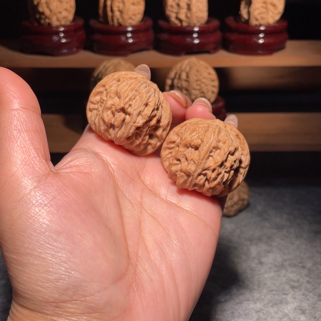 山地对歪正磨毕业38