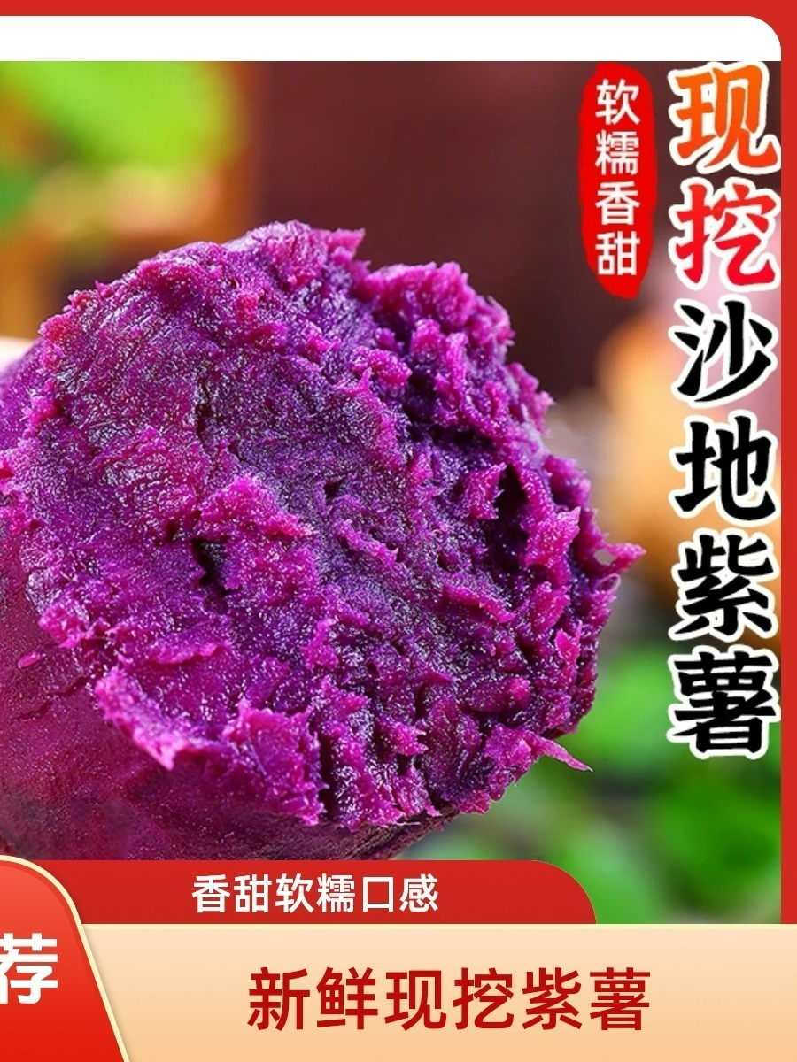 【坏果包赔】新鲜现挖沙地紫薯软糯香甜可做粗粮早餐