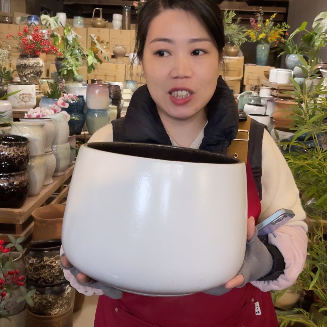 红陶高度20口径26