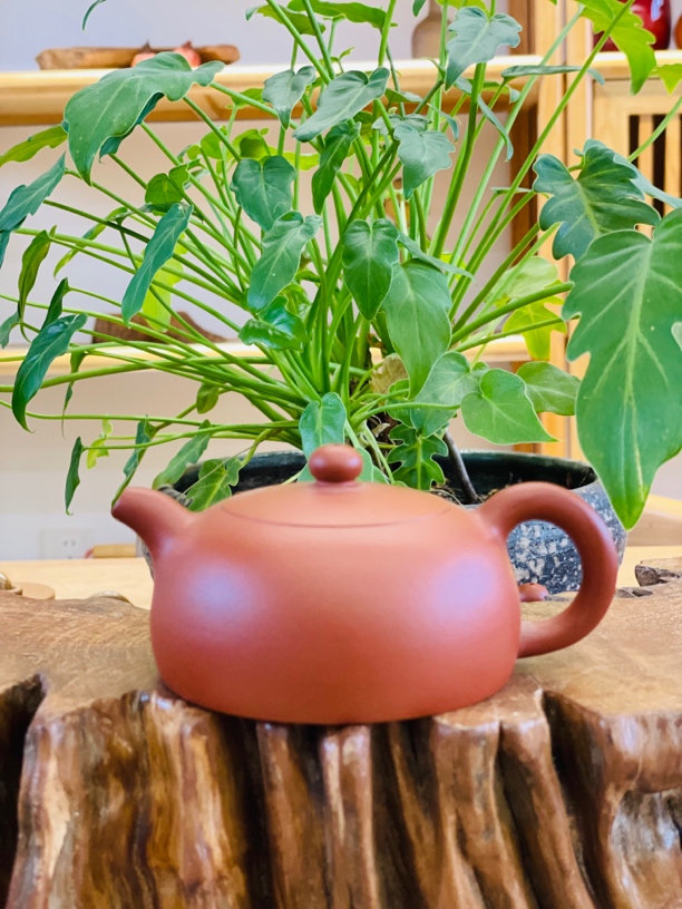 纯手工紫砂壶：朱泥：扁玉
