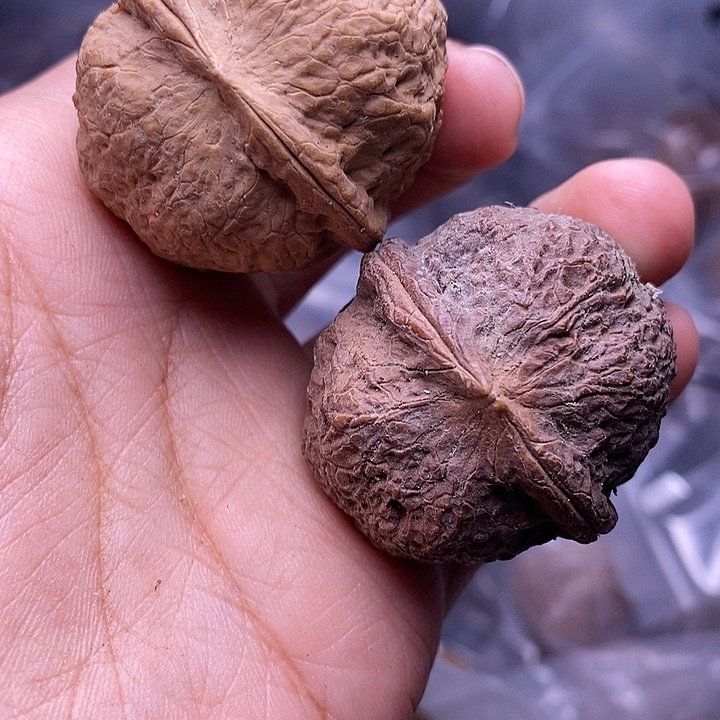 文玩核桃把件  220