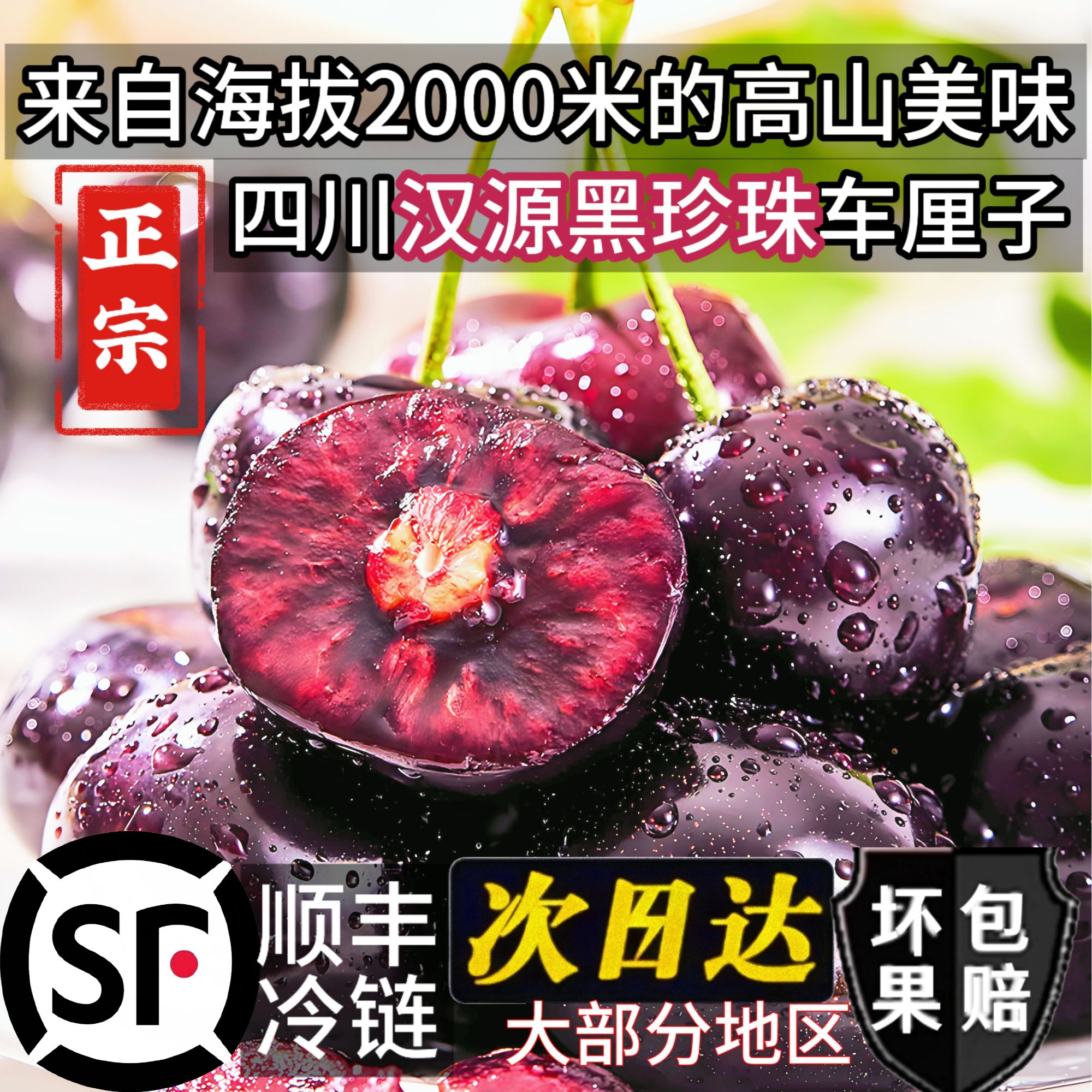 正宗四川汉源黑珍珠车厘子套袋黑珍珠车厘子大樱桃【顺丰冷链包邮】1J2J3J净重2斤/4斤新鲜水果黑珍珠樱桃