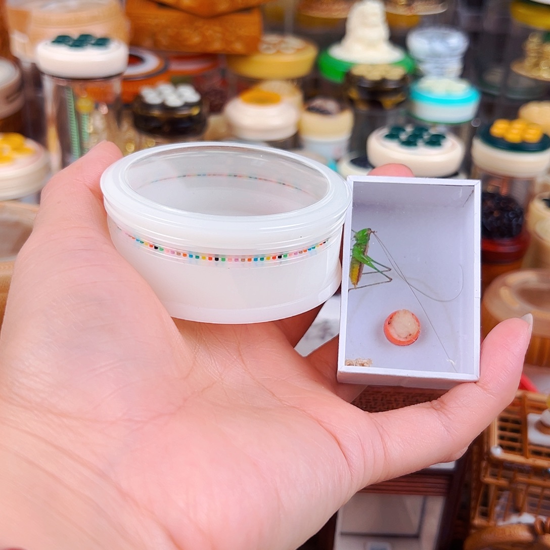 掌中宝彩虹窗万体配糖果