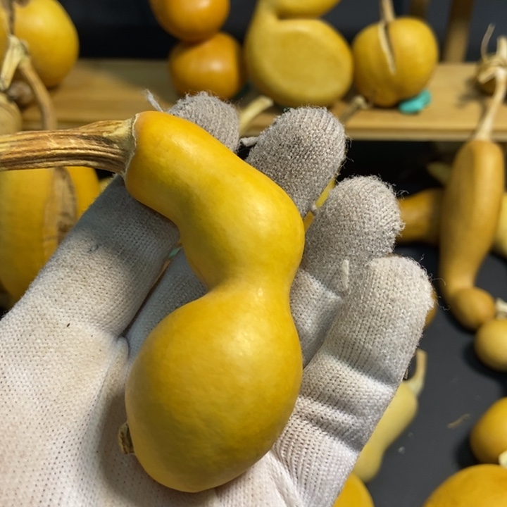 肖****）葫芦葫芦真的