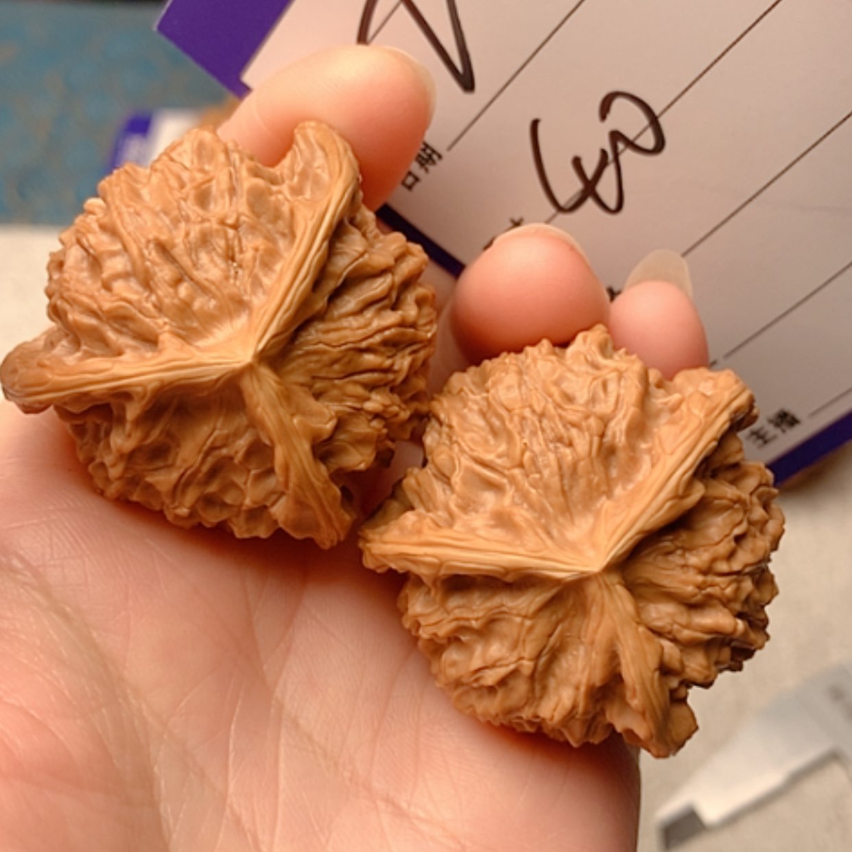 【闪购商品】文玩核桃把件三棱