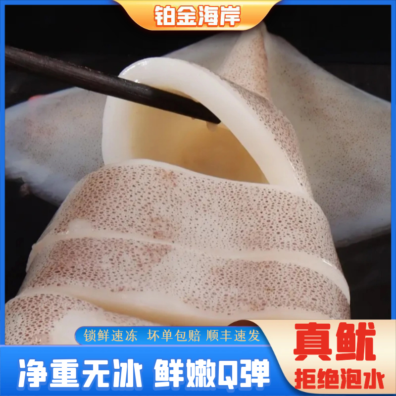 【老纪推荐】野生海捕新鲜鱿鱼可以清蒸凉拌鱿鱼整只火箭4-6条3斤