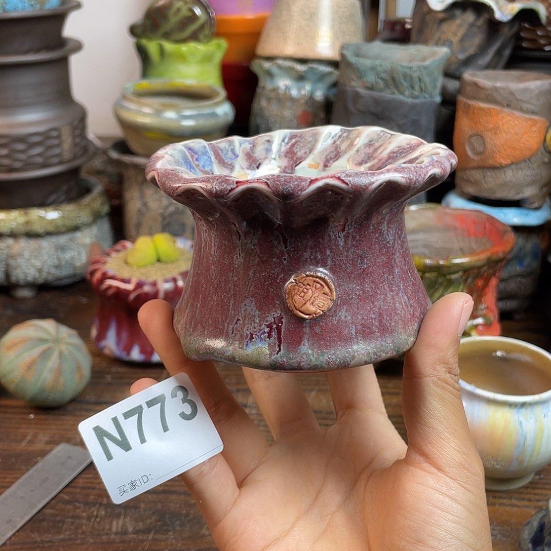 坛子姐花盆 双十二限时福利 默认微次