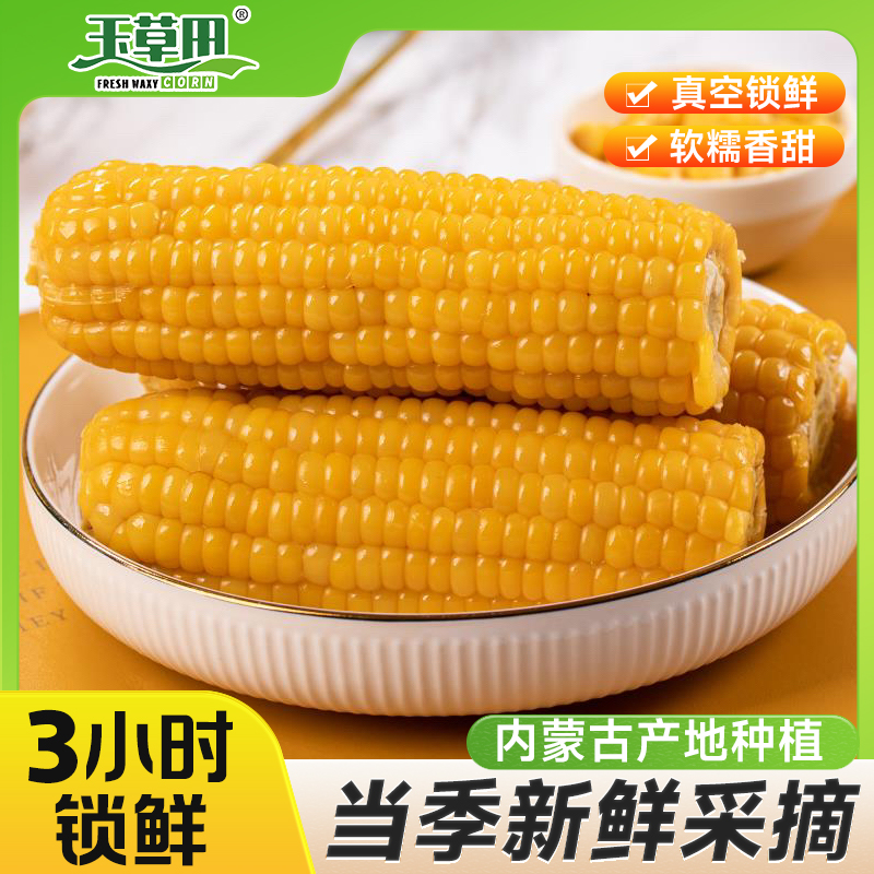 玉草田巴彦淖尔厂家发货现摘新鲜黄糯黏粘玉米棒苞米真空即食玉米
