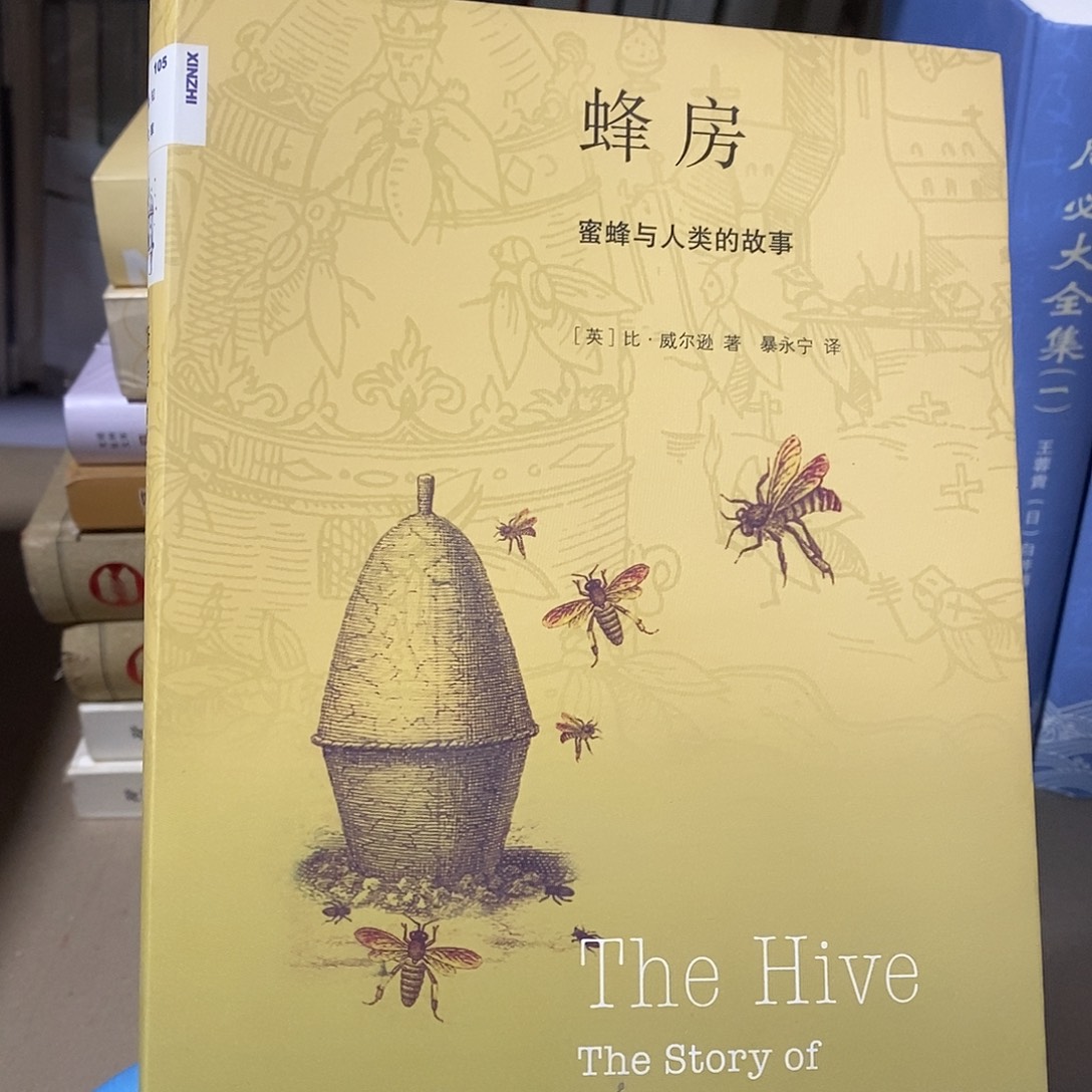 蜜蜂与人类的故事…… 