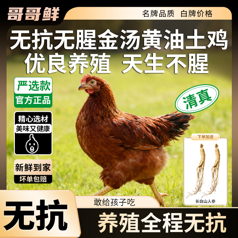 哥哥鲜无抗黄油鸡整鸡鸡肉生鲜宝宝辅食无腥味10分钟清水煮高蛋白商品图