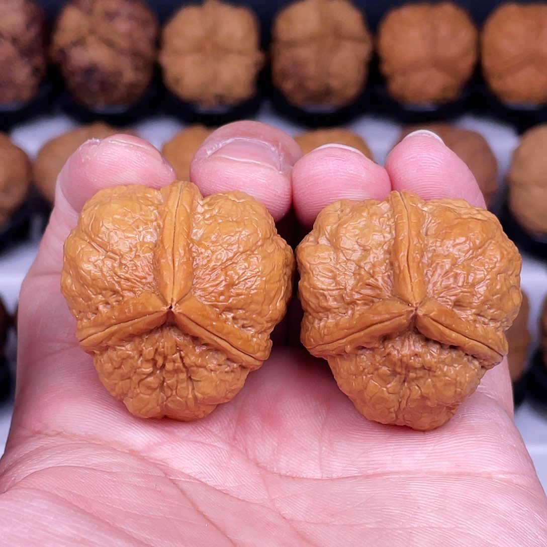 文玩核桃吊坠粗筋龙脊三棱38尺