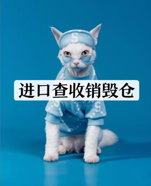 【12号】【全新未使用】秋季男士新款时尚潮服高品质卫衣男装623加绒